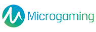 MICRO GAMING PLUS